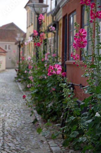 The beautiful city of Faaborg in Denmark