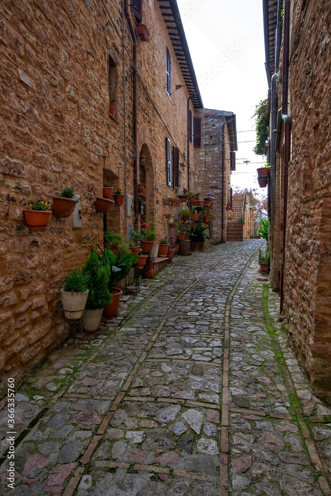 narrow street in the old town of Spello, Umbria, Italy