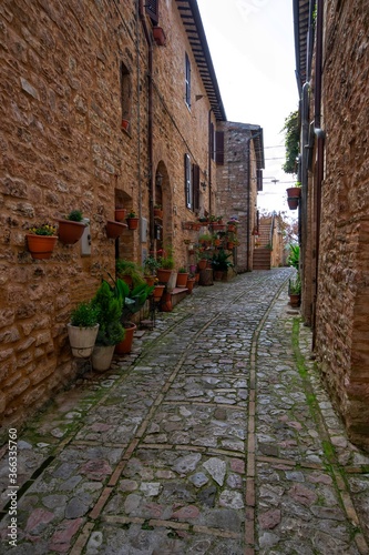 narrow street in the old town of Spello  Umbria  Italy