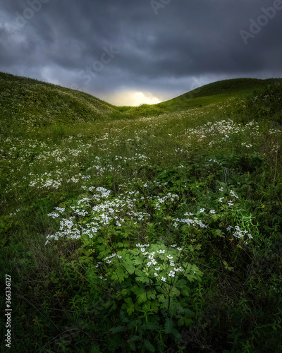Canvas Print Dzukou Valley Vertonama