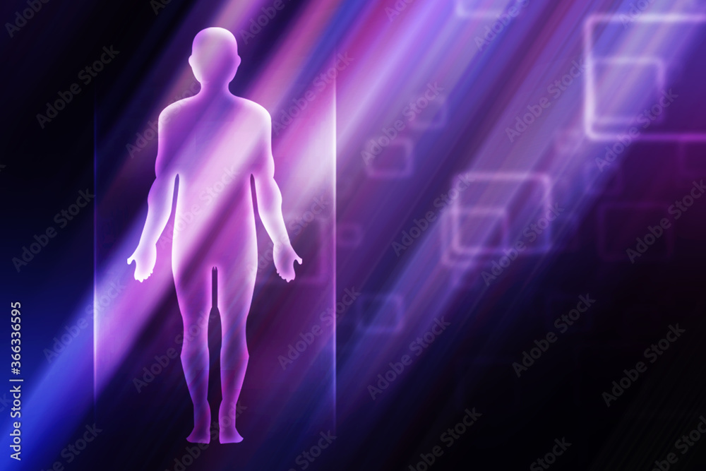 2d illustration Human Male Muscle Body 2d illustration Human Male Muscle Body