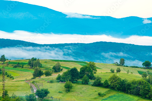 morning in the green mountains in the fog. beautiful landscape. summer in the mountains... © robertuzhbt89