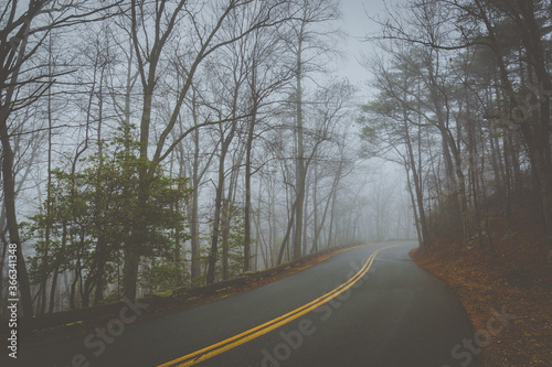 Foggy winter road on a gloomy morning in North Carolina