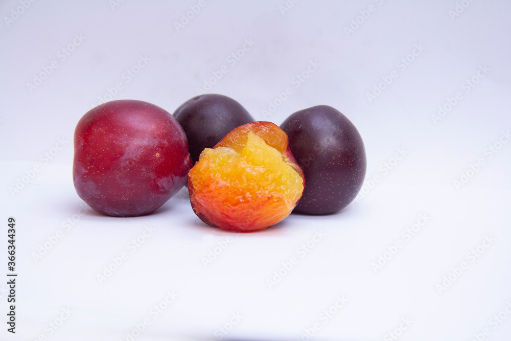 plum plum
