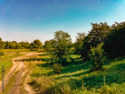 An abandoned dirt road runs through a field surrounded by trees with green foliage under a blue cloudless sky on a sunny day.