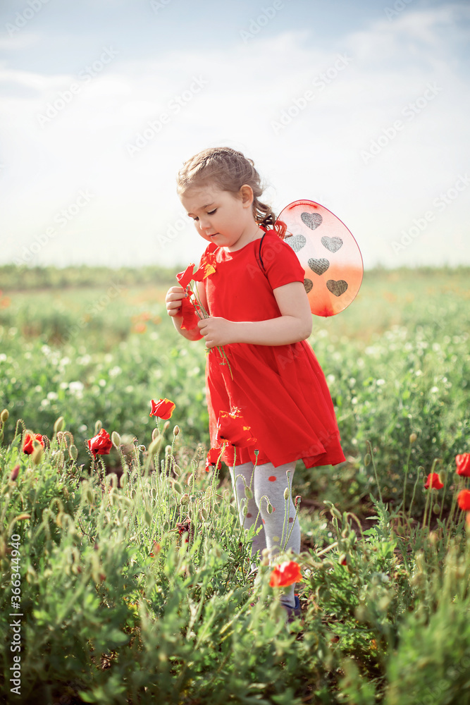 a girl walking in a poppy field
a girl walking in a poppy field