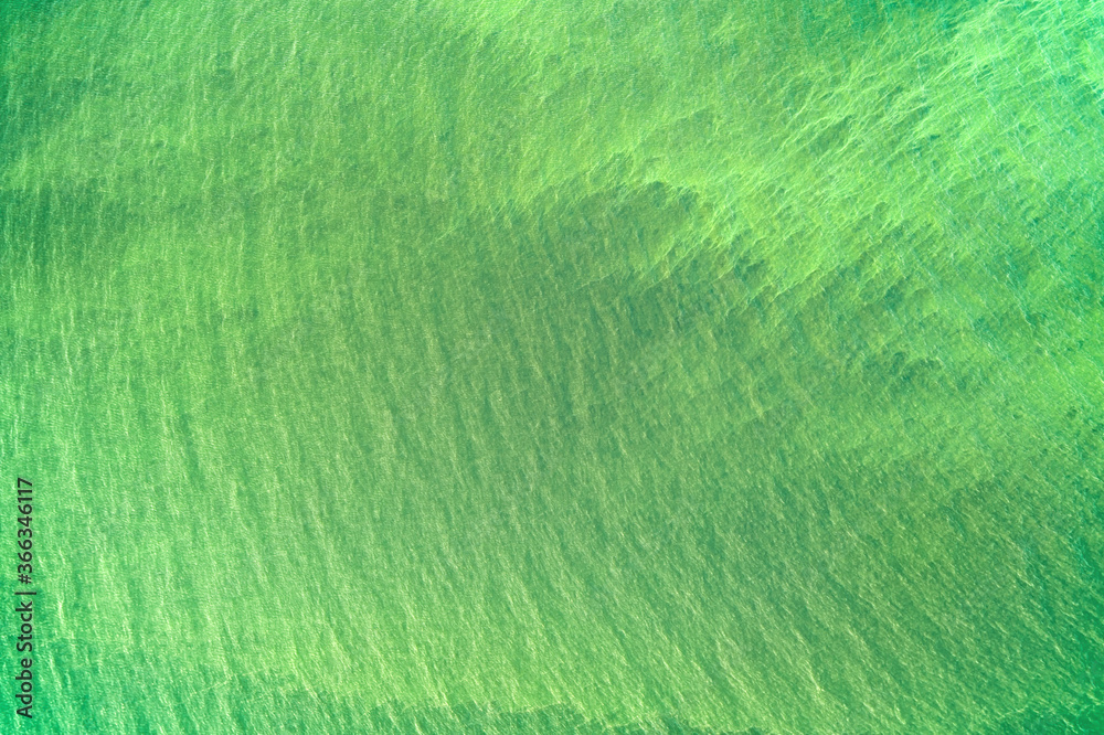 Bright green water with water plants aerial top view
