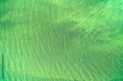 Obraz na płótnie Bright green water with water plants aerial top view w salonie