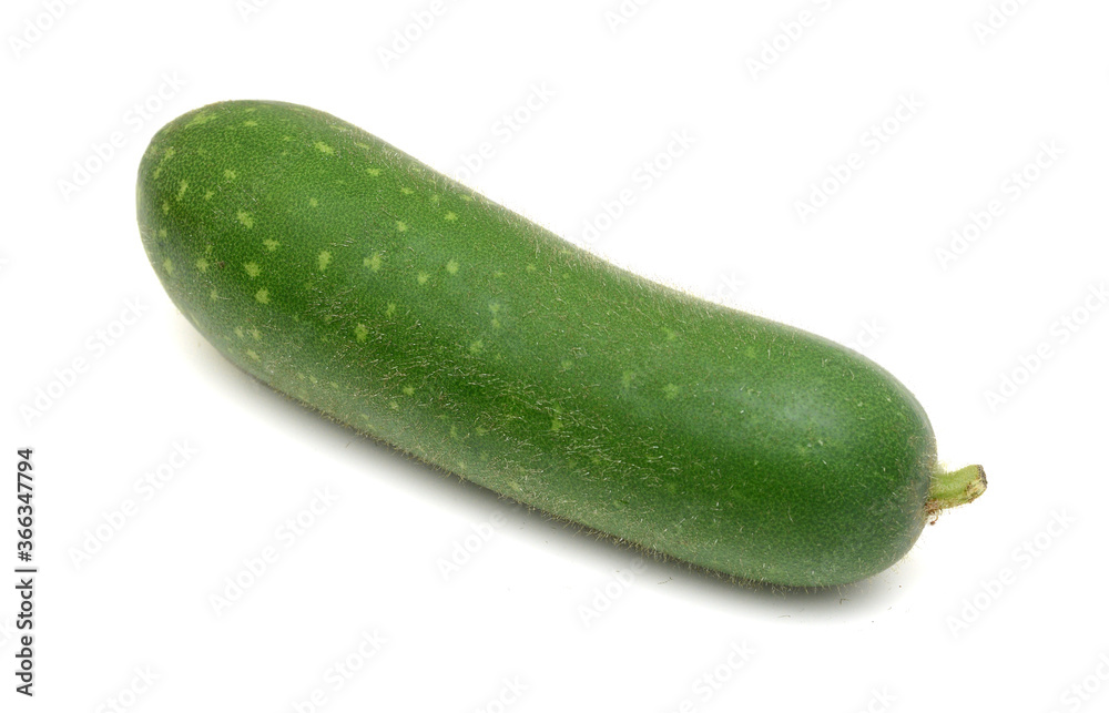 Winter melon on white background Winter melon on white background