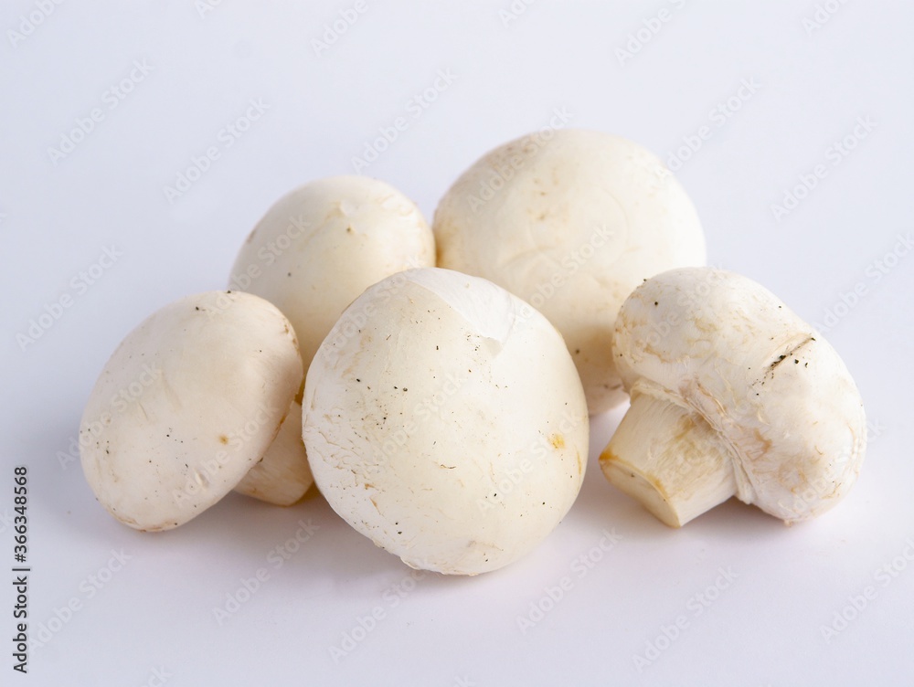 very tasty white edible mushrooms close up very tasty white edible mushrooms close up