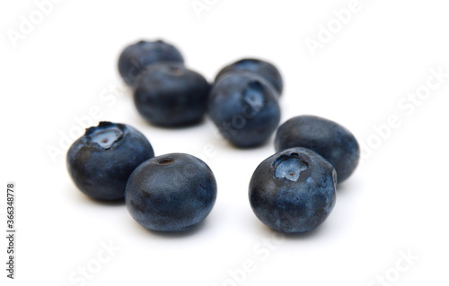 Blue berry on white background 