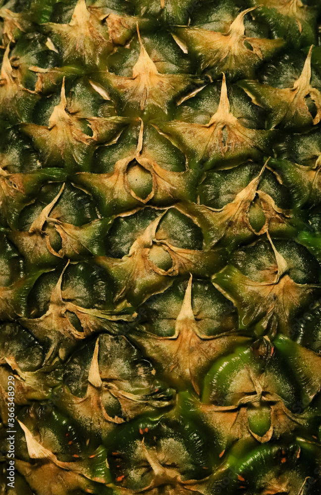 background texture of pineapple peel close up