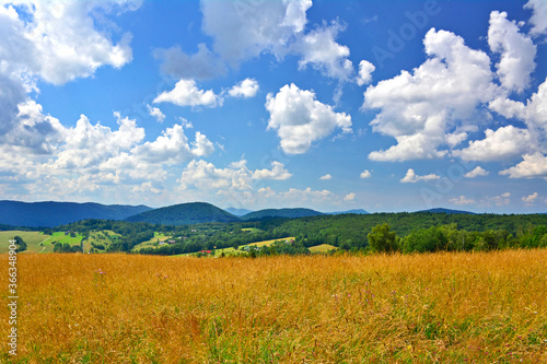 Lovely   scenery in summer.  Grassy meadow in mountains and blue sky width white clouds  Low Beskid  Beskid Niski   Poland