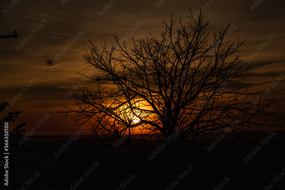 Fototapeta premium Sunrise