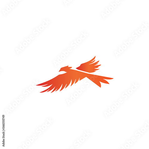 Falcon Logo Template vector