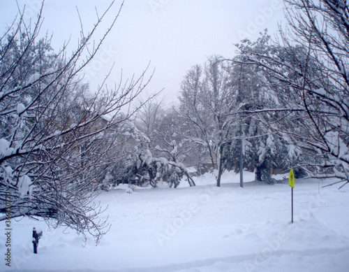 Snow covered unplowed street in blizzard photo