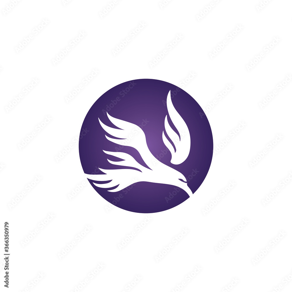 Falcon Logo Template vector Falcon Logo Template vector