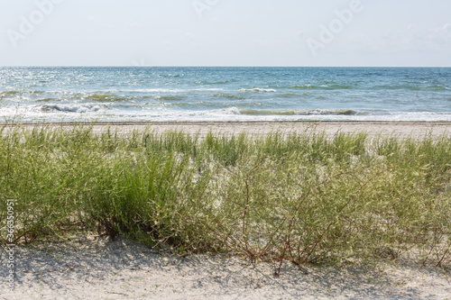 Remote isolated wild beach on a clear summer day photo