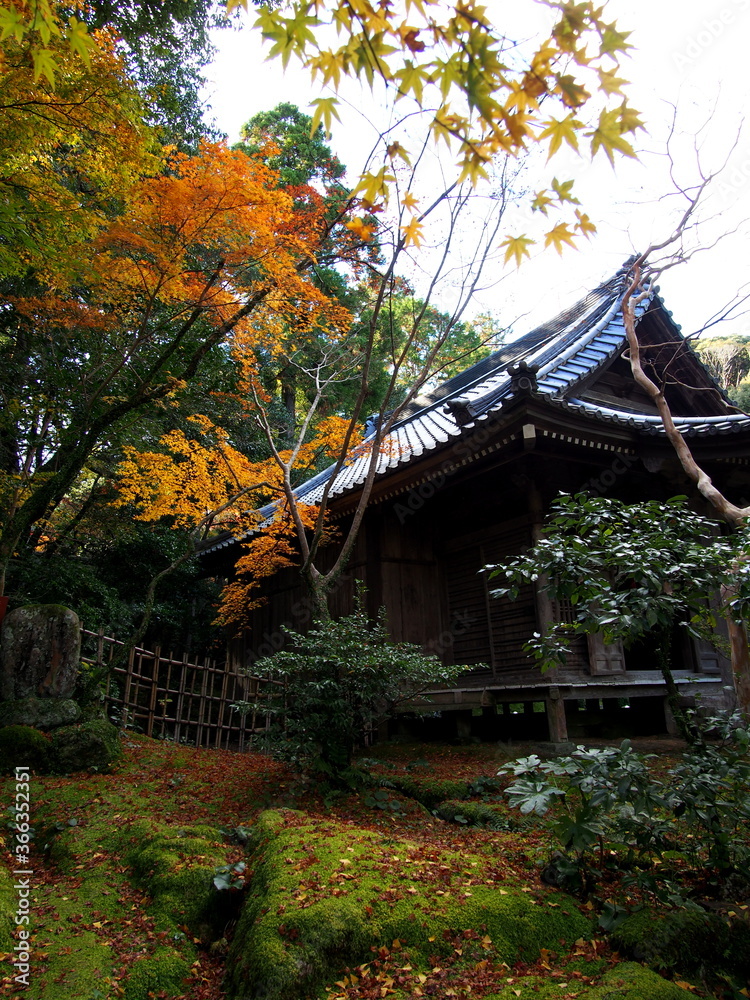 The temple and autumn leaves in Japan