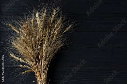Sheaf of wheat on a black wooden table. Copy space.