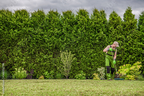 Gardener Raking Freshly Mowed Grass From Backyard Garden Lawn