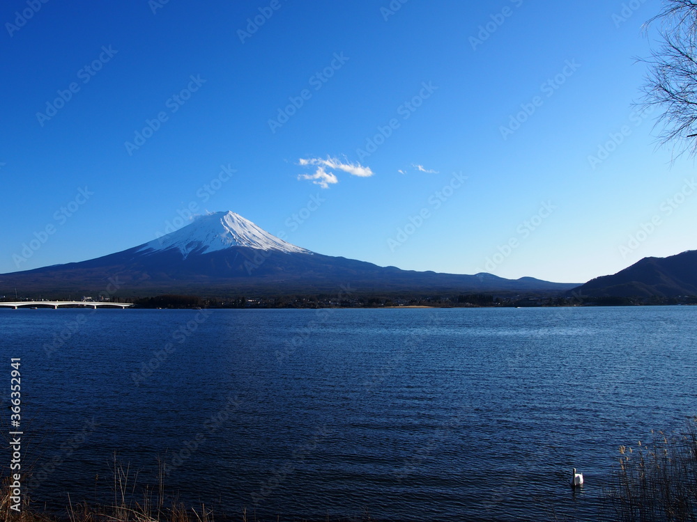 View of Mt. Fuji from the lake in Yamanashi