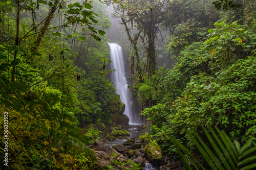 Fototapeta Naklejka Na Ścianę i Meble -  Templo waterfall costa rica