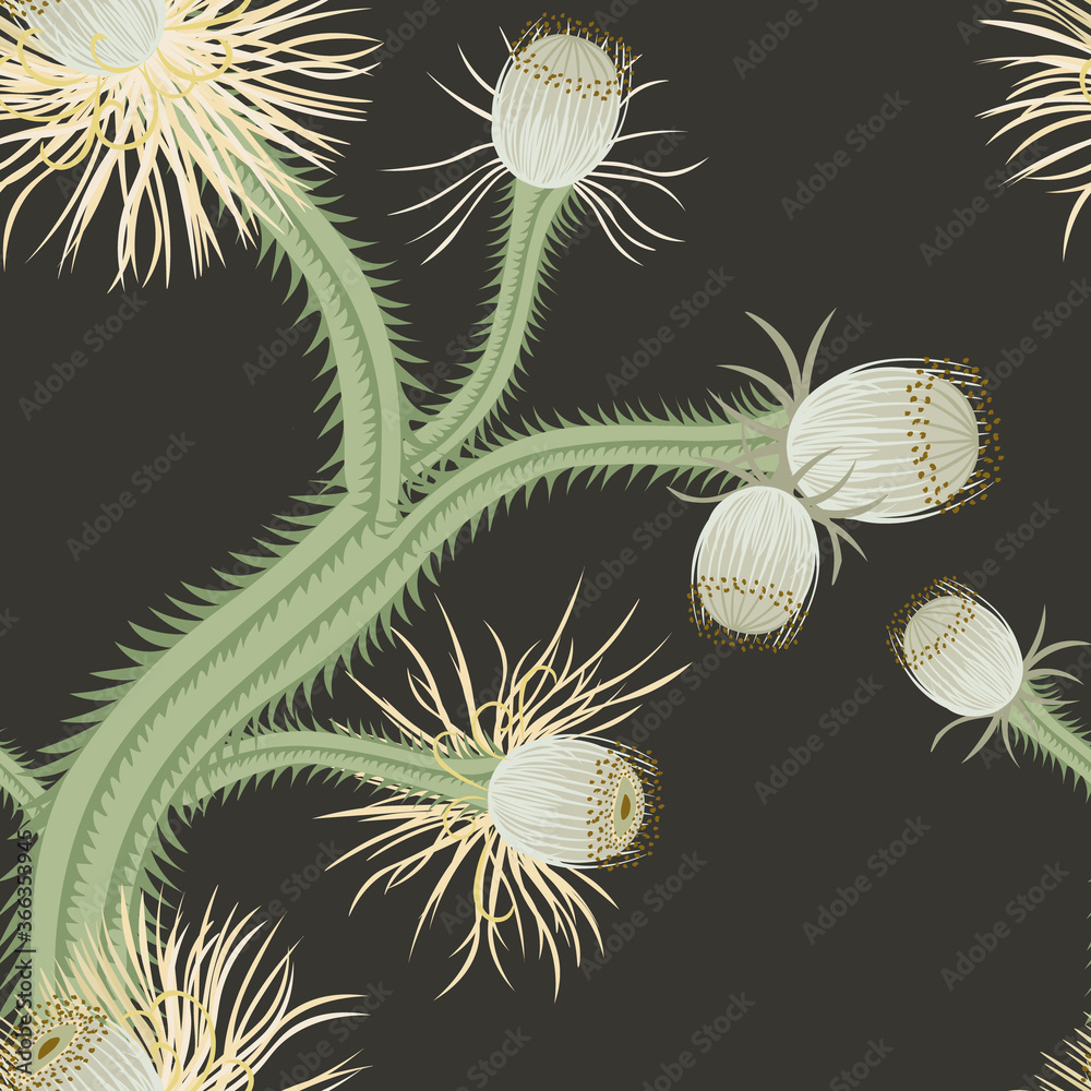 Vector seamless pattern with cactus flowers. Floral tropical background with succulent plants, cacti on black backdrop. Mexican style botanical illustration. Repeat design for decor, print, wallpapers