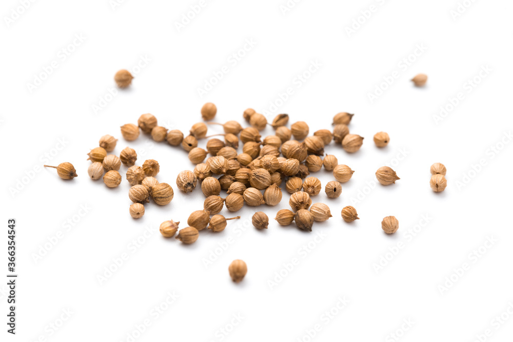 Coriander seeds isolated on white background Coriander seeds isolated on white background