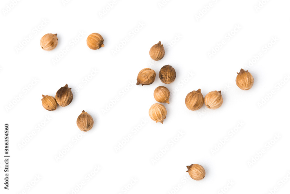 Coriander seeds isolated on white background Coriander seeds isolated on white background