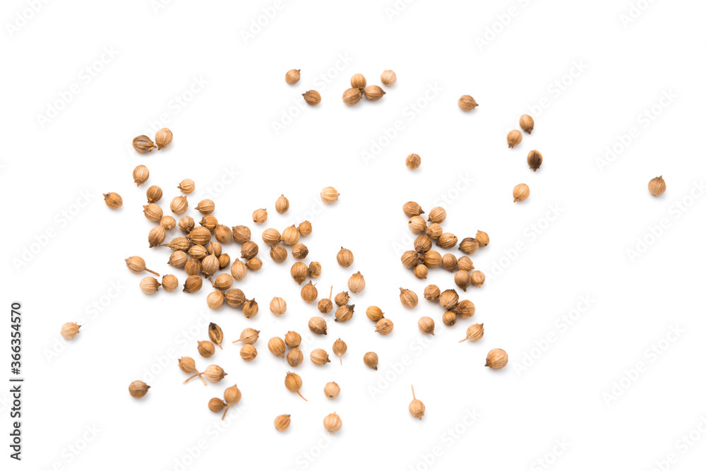 Coriander seeds isolated on white background Coriander seeds isolated on white background