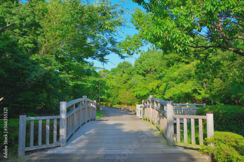                       Beautiful scenery from Aomi Minami Futo Park