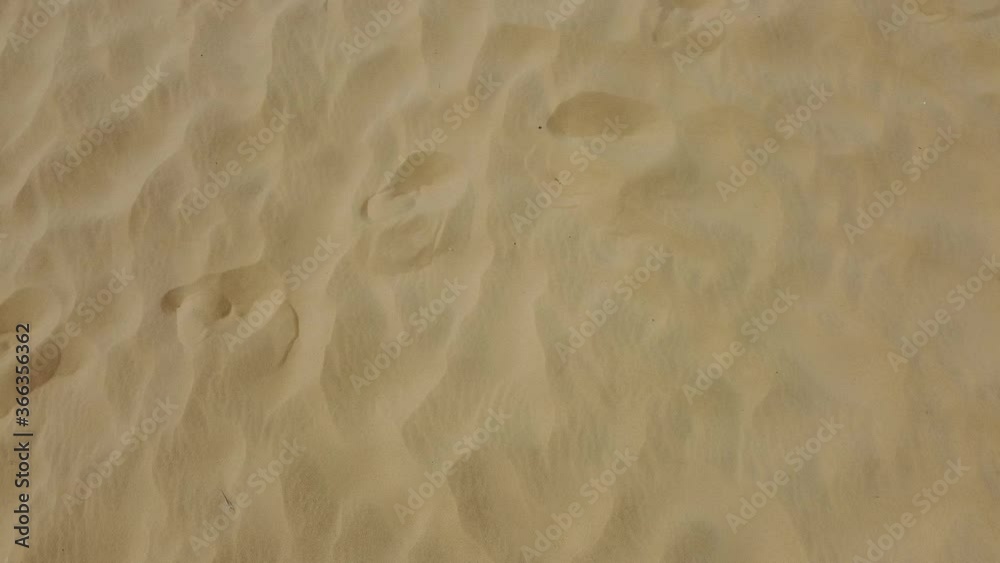 Sand background on the beach. Texture of clean sandy shore. Sand background on the beach. Texture of clean sandy shore.