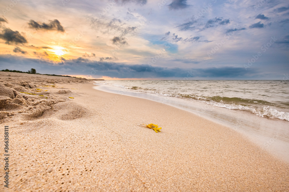 Zachód słońca na piaszczystej plaży - obrazy, fototapety, plakaty 
