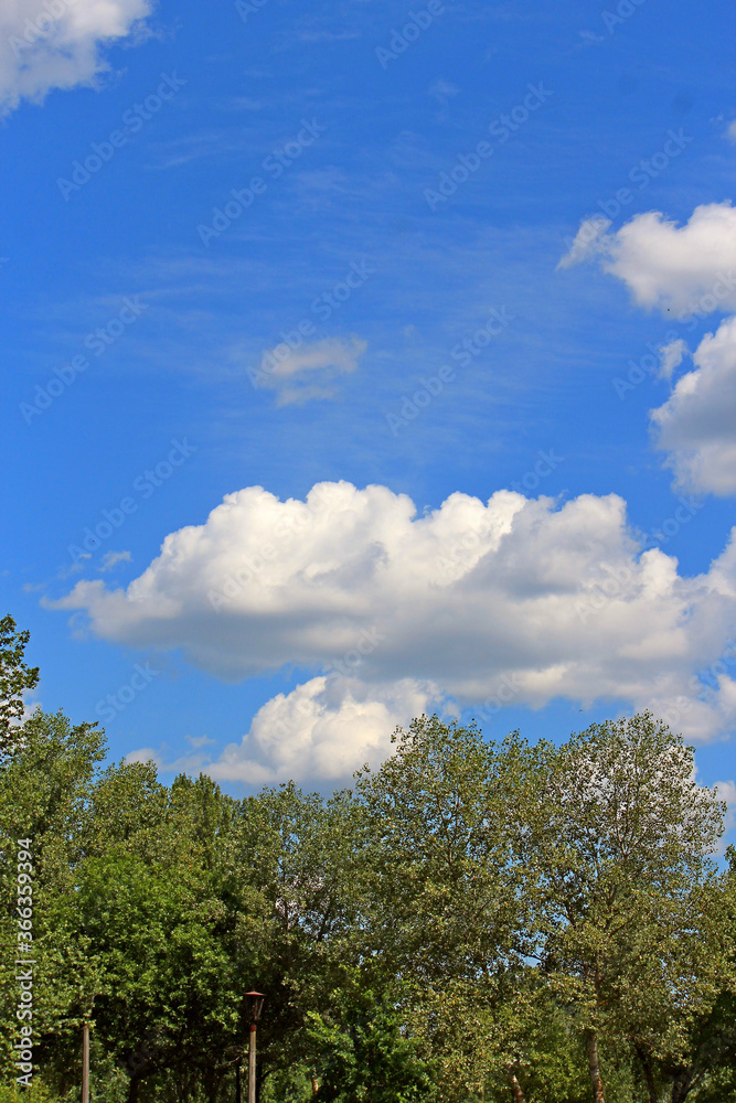 unusual cloud shapes in the summer sky unusual cloud shapes in the summer sky