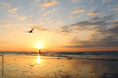 Beach at sunrise with seagulls and silhouette of woman