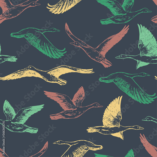 Hand drawn vector seamless pattern of flying greylag geese. Background of wild birds realistic ink sketches. Abstract colorful design for wallpaper, wrapping, textile, postcard, print, fabric, decor.