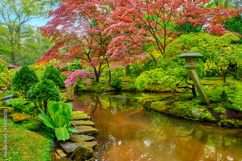 Fototapeta Naklejka Na Ścianę i Meble -  Little Japanese garden after rain, Park Clingendael, The Hague, Netherlands