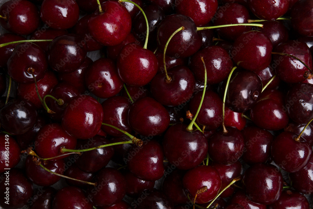 Ripe cherry as background texture close-up Ripe cherry as background texture close-up