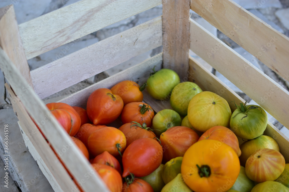 Yellow red and green tomatoes in a wooden box