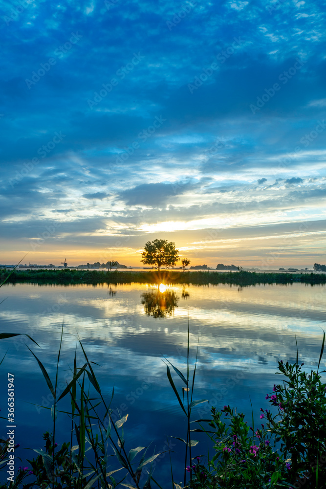 Sunrise over the meadows of the Zwanburgerpolder at the Kagerplassen in the South-Holland village of Warmond in the Netherlands.