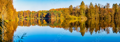 Seelandschaft mit sich im Wasser spiegelndem Wald im Herbst als Panorama