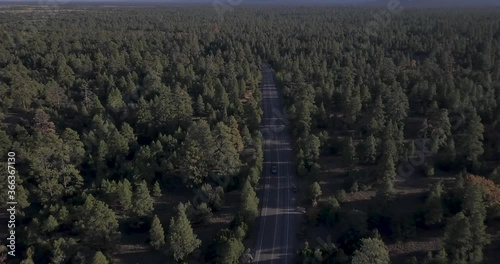 Aerial of single car driving on Empty Small Road in Pine Forest Arizona New Mexico America