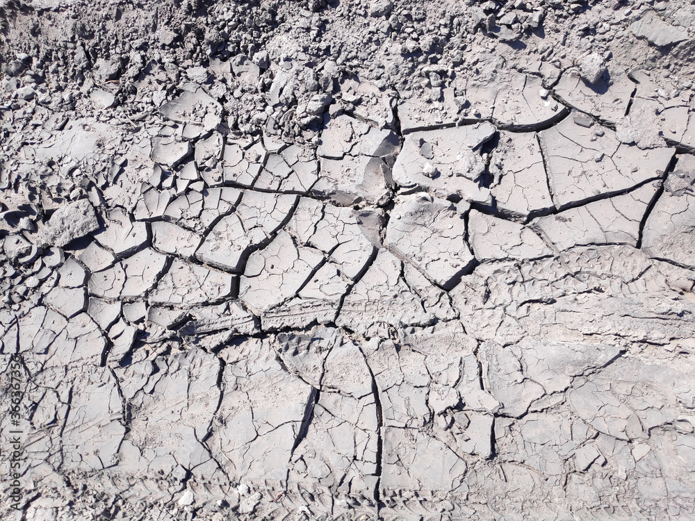 Fototapeta premium Global warming concept. Dry arid land. Desiccated cracked ground, soil. nature background