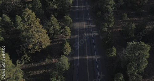 Aerial of cars driving on Empty Small Road in Pine Forest Arizona New Mexico America