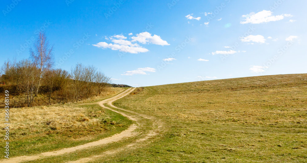 A rural dirt road stretches along bends along the edge of the forest along a field against a blue sky in fine sunny weather. Can be used as a picture for interior decoration.