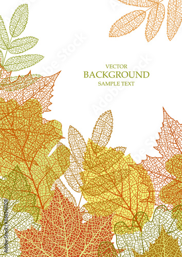 Textured background with autumn leaves. Natural element. Plant print. Vector season  banner, template, greeting card, frame, postcard. Modern texture. Ecology, environment