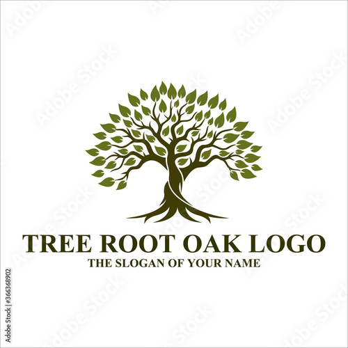 Root Of The Tree logo illustration. Vector silhouette of a tree, Abstract vibrant tree logo design, root vector - Tree of life logo design inspiration isolated on white background, 