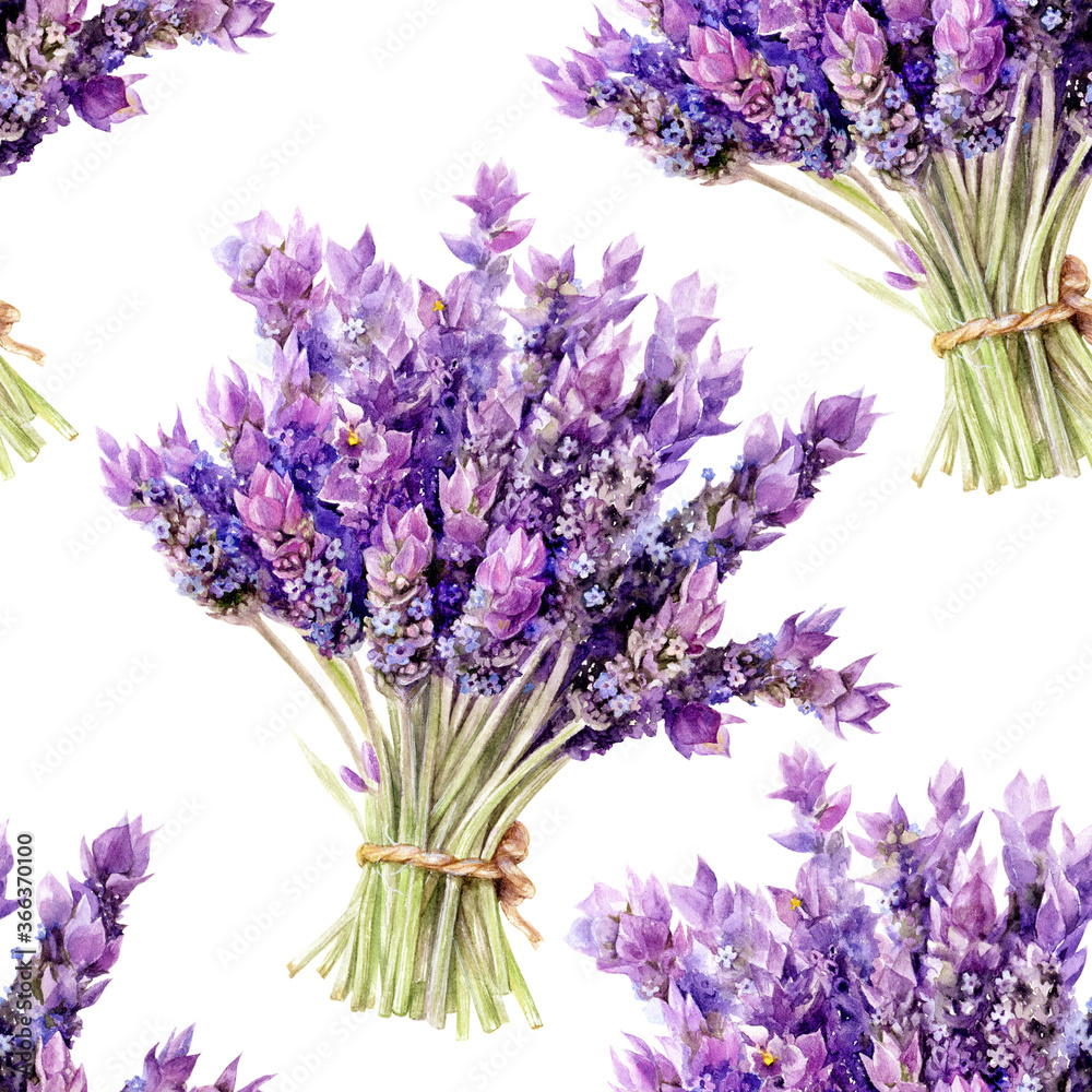 Fototapeta Hand drawn watercolor lavender banch seamless pattern isolated on white background.