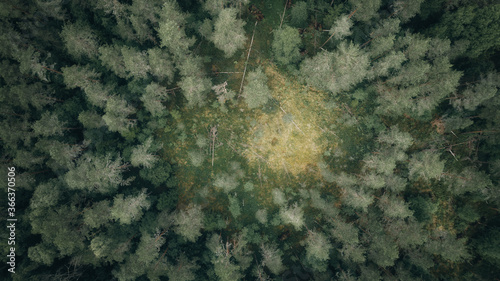 Top down ariel view of dark forest in sweden on a cloudy day. Drone photography. 